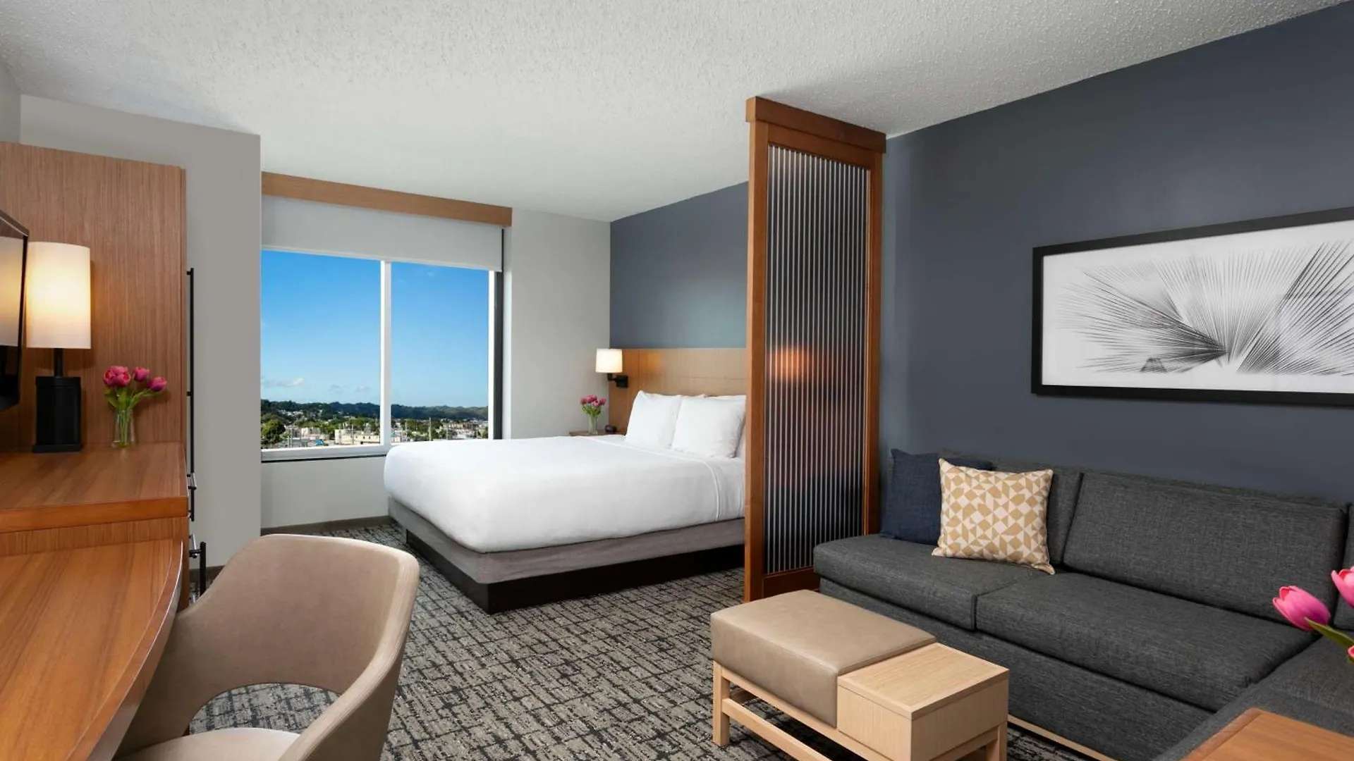 Hyatt Place Manati Porto Rico